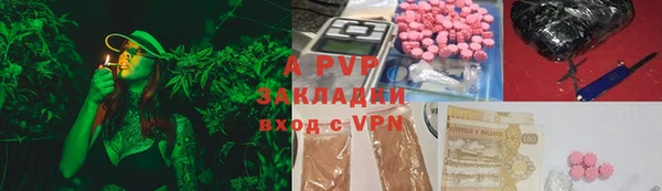 стаф Алексин