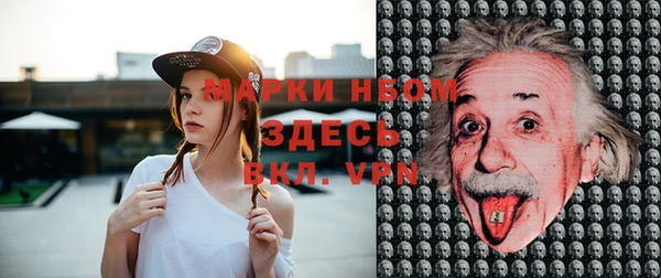 стаф Алексин