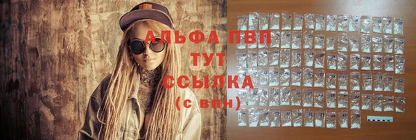 стаф Алексин