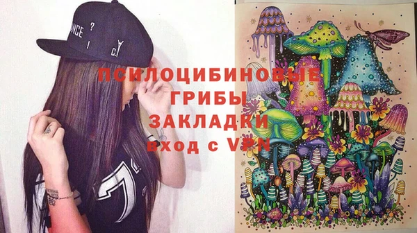прущая мука Алзамай