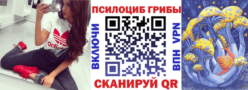 Галлюциногенные грибы мицелий Сенгилей