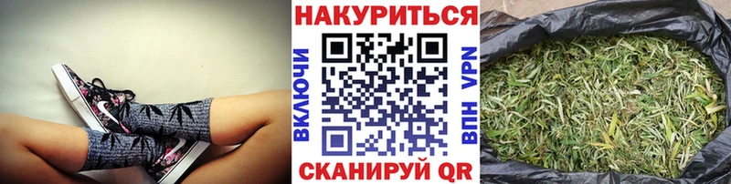 Конопля планчик  Сенгилей 